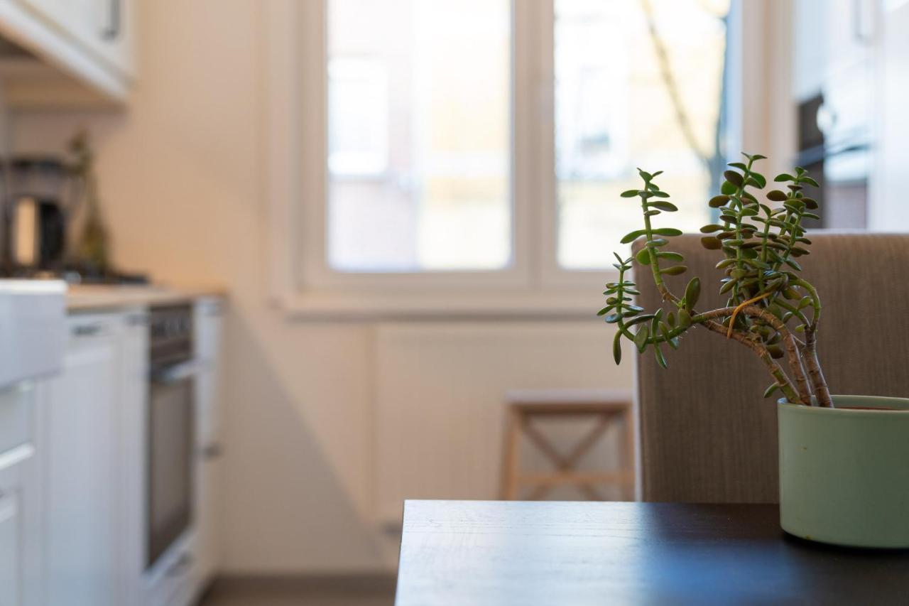 Large Room In House W Shared Kitchen & Bathroom W Free Parking Bluecard Antwerpen Exteriör bild